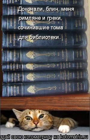 Доконали, блин, меня римляне и греки, сочинившие тома для библиотеки.... Котоматрица: Доконали, блин, меня римляне и греки, сочинившие тома для библиотеки.