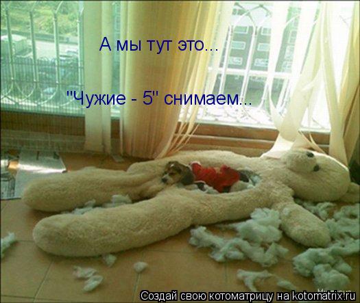 А мы тут это... "Чужие - 5" снимаем...... Котоматрица: А мы тут это... "Чужие - 5" снимаем...