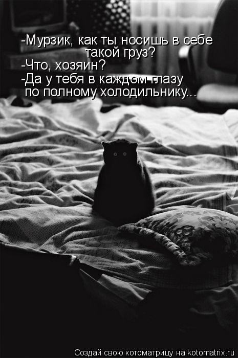-Мурзик, как ты носишь в себе такой груз? -Что, хозяин? -Да у тебя в каждом глазу по полному холодиль... Котоматрица: -Мурзик, как ты носишь в себе такой груз? -Что, хозяин? -Да у тебя в каждом глазу по полному холодильнику...