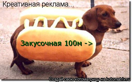 Креативная реклама... Закусочная 100м ->... Котоматрица: Креативная реклама... Закусочная 100м ->