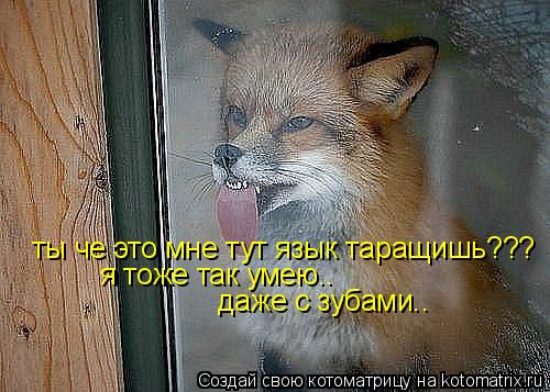 Котоматрица: ты че это мне тут язык таращишь??? я тоже так умею.. даже с зубами..