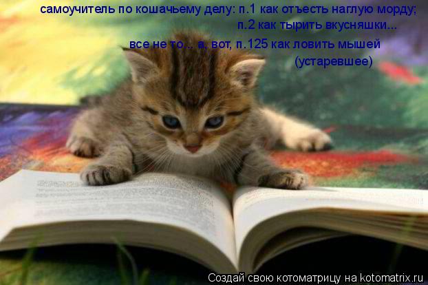 Котоматрица: самоучитель по кошачьему делу: п.1 как отъесть наглую морду; п.2 как тырить вкусняшки...  все не то... а, вот, п.125 как ловить мышей (устаревшее)