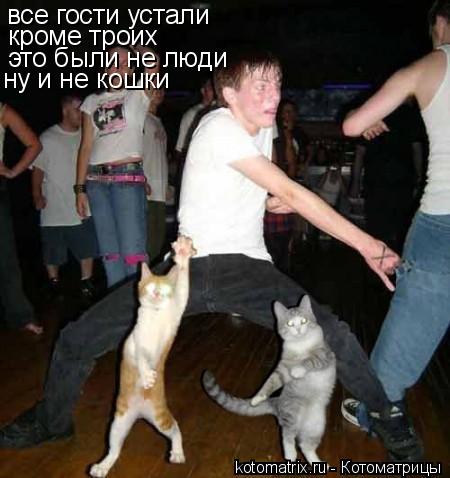 Котоматрица: все гости устали кроме троих это были не люди ну и не кошки