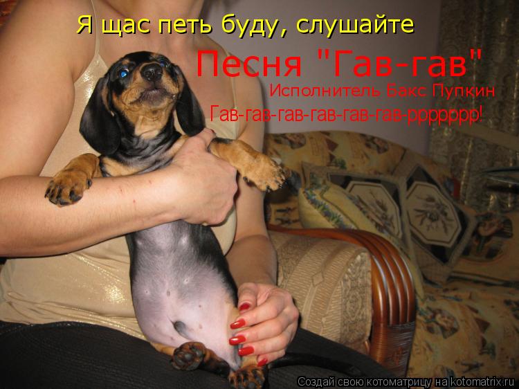 Котоматрица: Я щас петь буду, слушайте Песня "Гав-гав"  Исполнитель Бакс Пупкин Гав-гав-гав-гав-гав-гав-ррррррр!