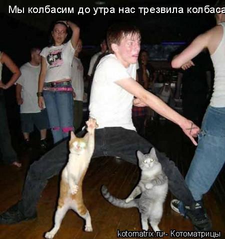 Котоматрица: Мы колбасим до утра нас трезвила колбаса
