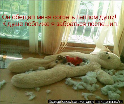 Котоматрица: Он обещал меня согреть теплом души! К душе поближе я забраться поспешил...
