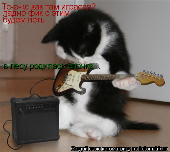 Котоматрица: Те-е-кс как там играеся? ладно фик с этим будем петь в лесу родилась елочка...