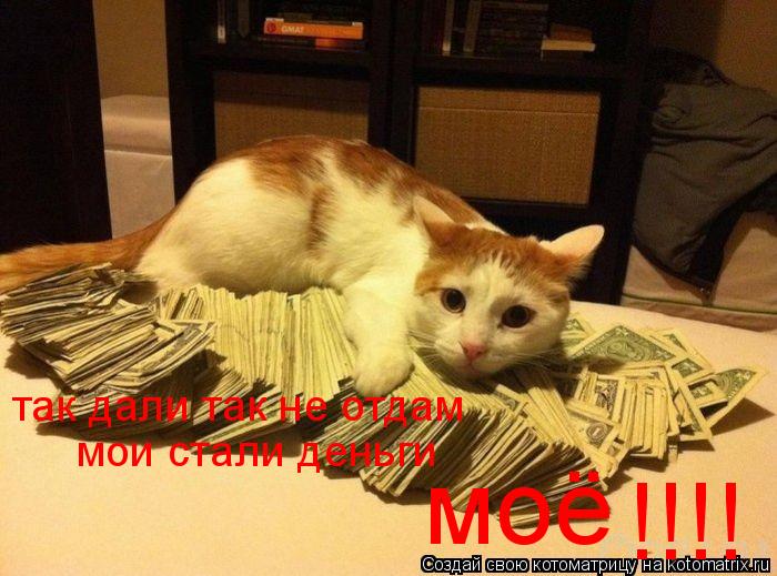 Котоматрица: так дали так не отдам мои стали деньги моё !!!!