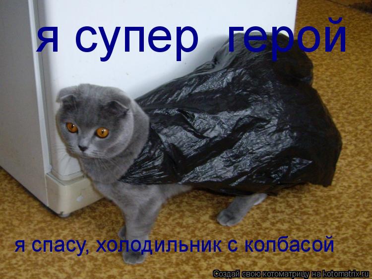 я спасу, холодильник с колбасой я супер герой... Котоматрица: я спасу, холодильник с колбасой я супер герой