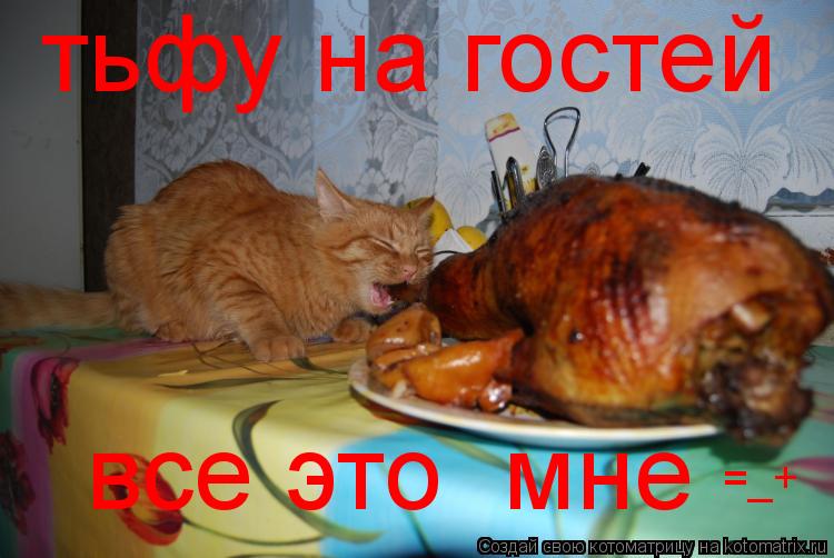 тьфу на гостей все это мне =_+... Котоматрица: тьфу на гостей все это мне =_+