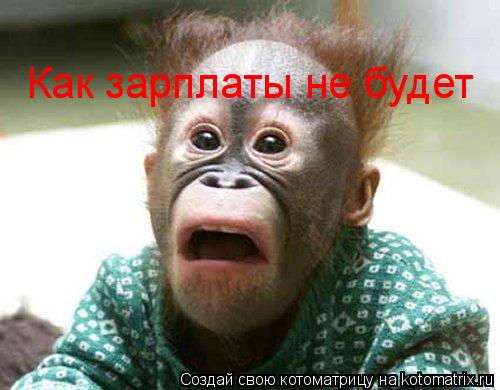 Как зарплаты не будет... Котоматрица: Как зарплаты не будет
