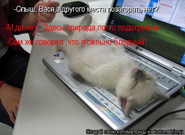 Котоматрица: -Слыш, Вася,а другого места позагорать нет? -Слыш, Вася,а другого места позагорать нет? -М,да нет...Здесь природа,пол с подогревом. -Сам же говор
