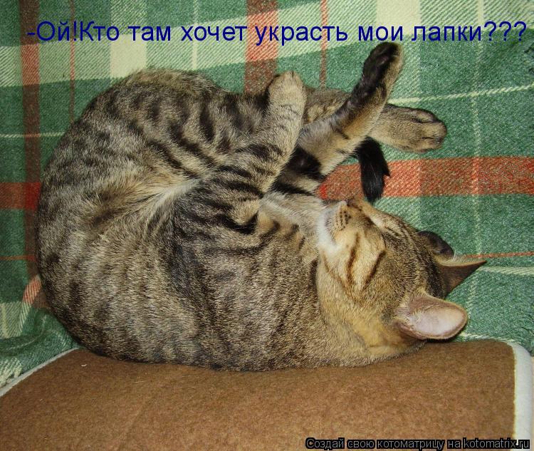 Котоматрица: -Ой!Кто там хочет украсть мои лапки???