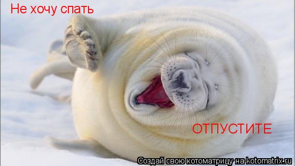 Котоматрица: Не хочу спать ОТПУСТИТЕ