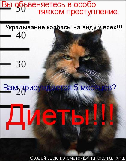 Котоматрица: Вы обьвеняетесь в особо  тяжком преступление. Украдывание колбасы на виду у всех!!! Вам присуждается 5 месяцев? Диеты!!!