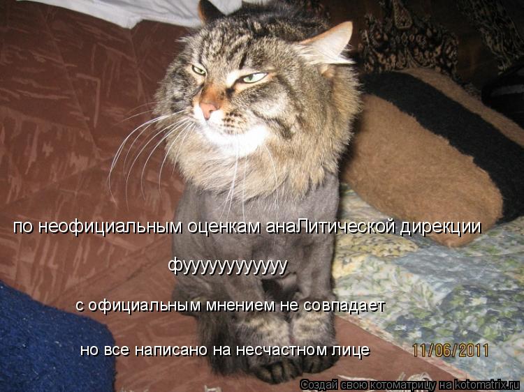 Котоматрица: по неофициальным оценкам анаЛитической дирекции фуууууууууууу с официальным мнением не совпадает но все написано на несчастном лице