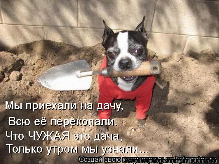 Мы приехали на дачу, Всю её перекопали. Что ЧУЖАЯ это дача, Только утром мы узнали...... Котоматрица: Мы приехали на дачу, Всю её перекопали. Что ЧУЖАЯ это дача, Только утром мы узнали...