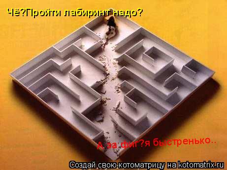 Чё?Пройти лабиринт надо? А за фиг?я быстренько..... Котоматрица: Чё?Пройти лабиринт надо? А за фиг?я быстренько..
