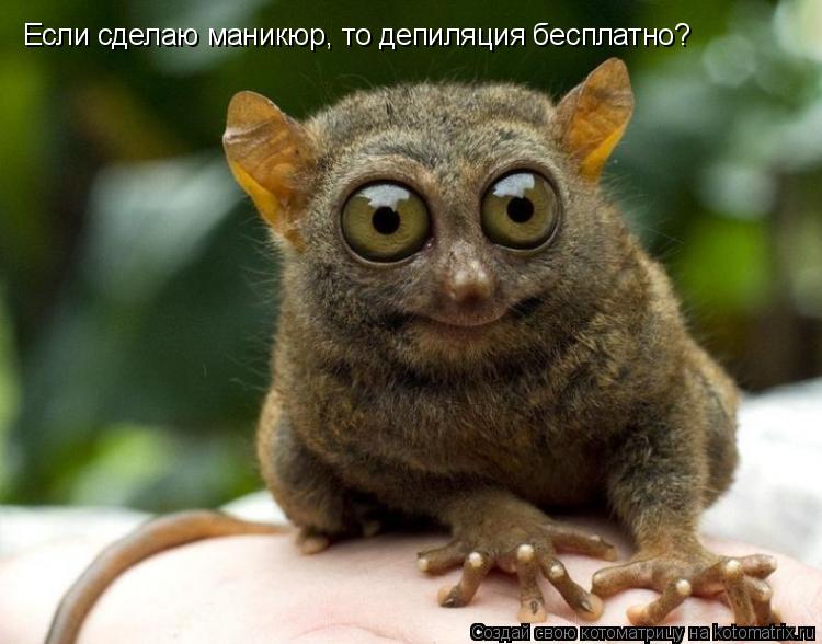 Если сделаю маникюр, то депиляция бесплатно?... Котоматрица: Если сделаю маникюр, то депиляция бесплатно?