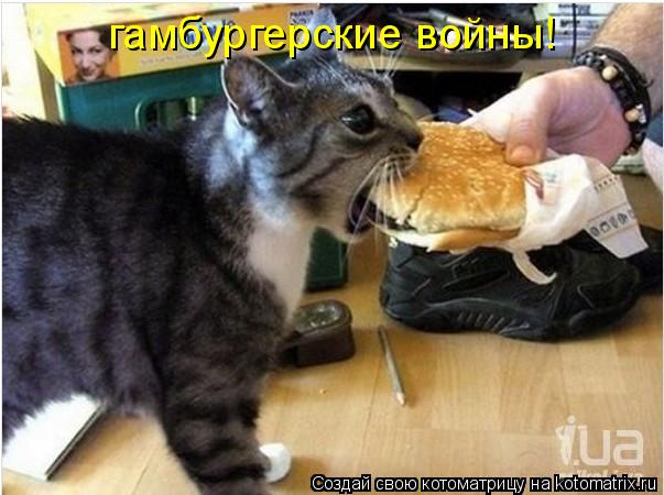 Котоматрица: гамбургерские войны!