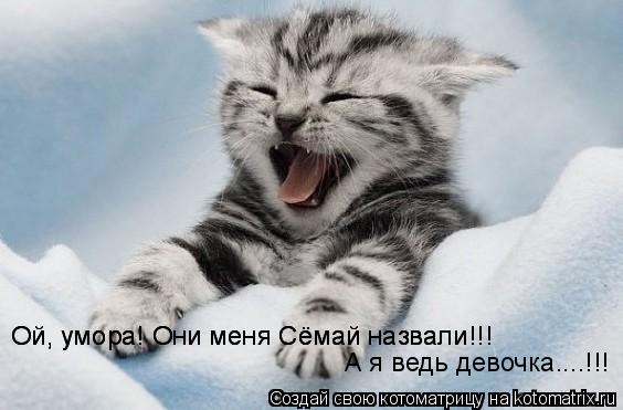 Котоматрица: Ой, умора! Они меня Сёмай назвали!!!  А я ведь девочка....!!! Ой, умора! Они меня Сёмай назвали!!!  Ой, умора! Они меня Сёмай назвали!!!  Ой, умора! О
