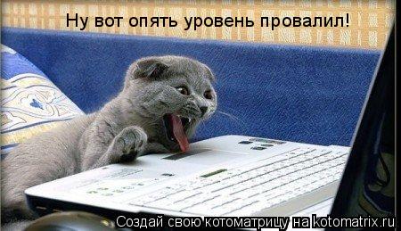Котоматрица: Ну вот опять уровень провалил!