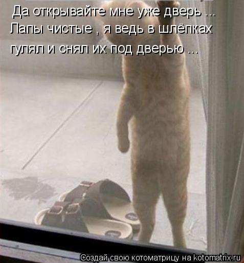 Котоматрица: Да открывайте мне уже дверь ...  Лапы чистые , я ведь в шлёпках  гулял и снял их под дверью ...