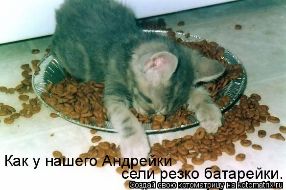 Котоматрица: Как у нашего Андрейки сели резко батарейки. Как у нашего Андрейки  сели резко батарейки.