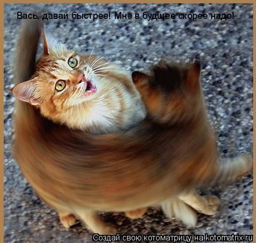 Котоматрица: Вась, давай быстрее! Мне в будщее скорее надо!