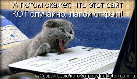 Котоматрица: А потом скажет, что этот сайт  КОТ случайно, лапой открыл!