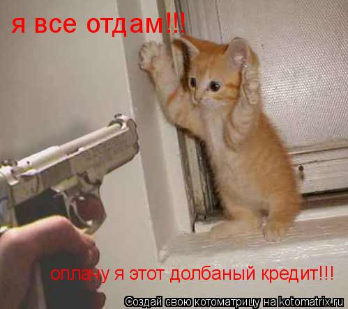 Котоматрица: я все отдам!!! оплачу я этот долбаный кредит!!!
