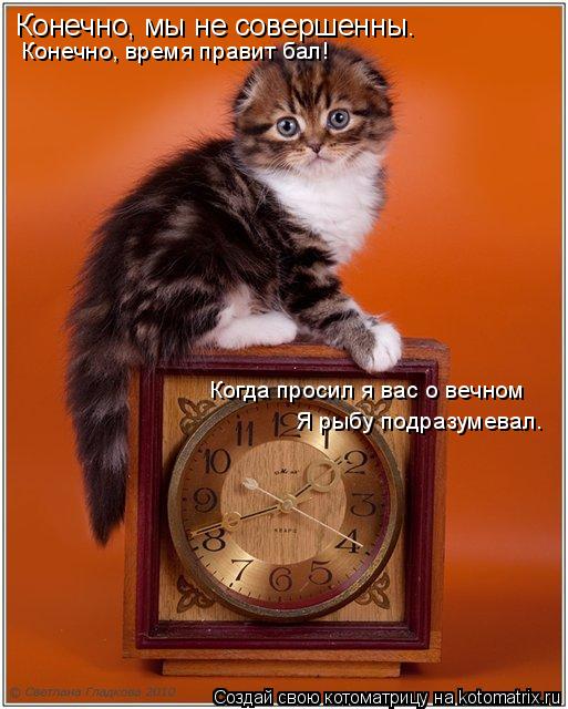 Котоматрица: Конечно, мы не совершенны.  Конечно, время правит бал! Когда просил я вас о вечном Я рыбу подразумевал.