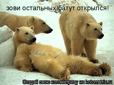 Котоматрица: зови остальных!батут открылся!