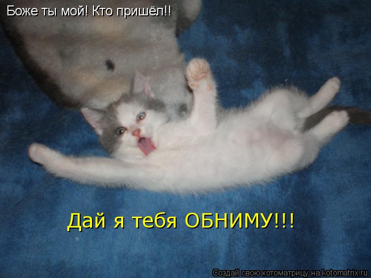 Боже ты мой! Кто пришёл!! Дай я тебя ОБНИМУ!!!... Котоматрица: Боже ты мой! Кто пришёл!! Дай я тебя ОБНИМУ!!!