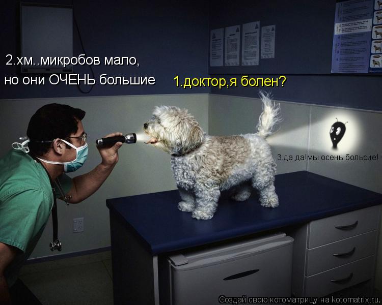 Котоматрица: 2.хм..микробов мало, но они ОЧЕНЬ большие 1.доктор,я болен? 3.да,да!мы осень больсие!