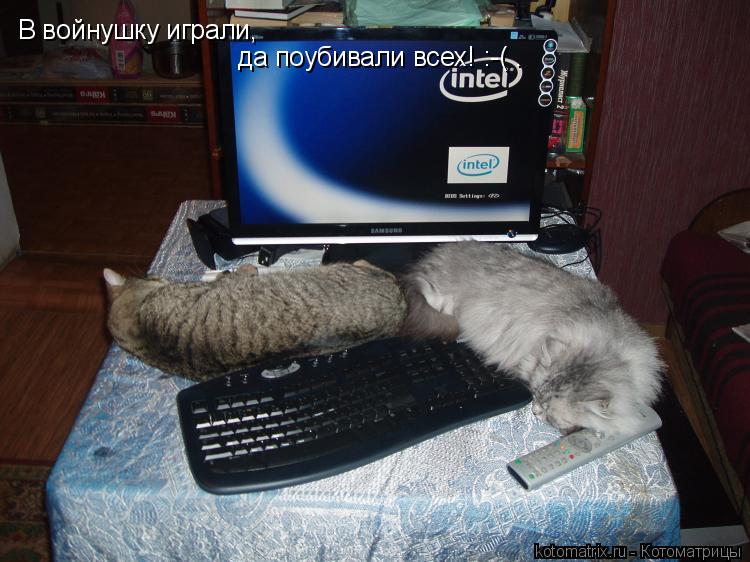 Котоматрица: В войнушку играли, да поубивали всех! :-( .