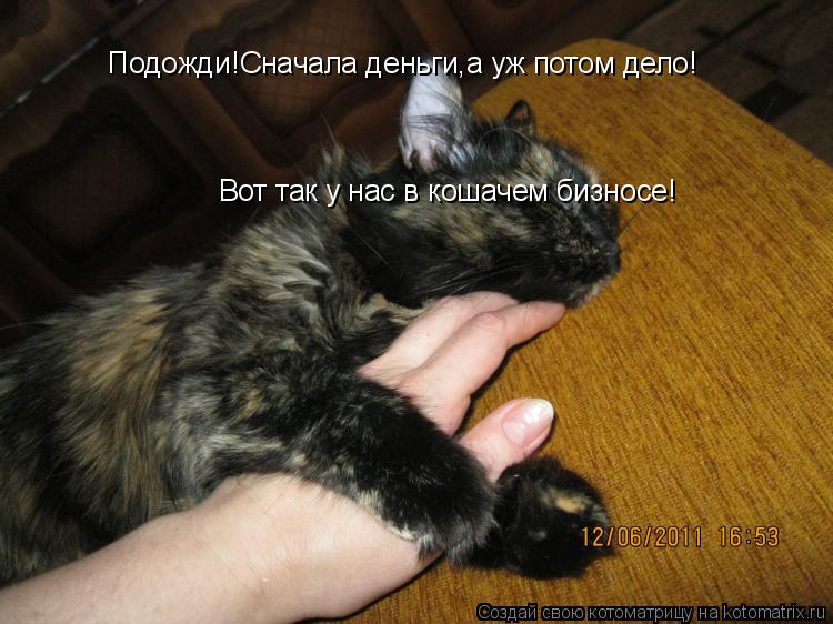 Котоматрица: Подожди!Сначала деньги,а уж потом дело! Вот так у нас в кошачем бизносе! Вот так у нас в кошачем бизносе!