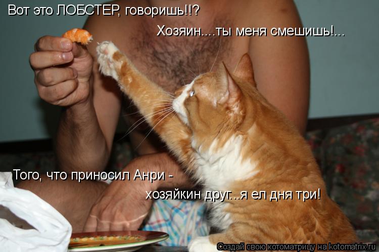 Вот это ЛОБСТЕР, говоришь!!? Того, что приносил Анри - хозяйкин друг...я ел дня три! Хозяин....ты мен... Котоматрица: Вот это ЛОБСТЕР, говоришь!!? Того, что приносил Анри - хозяйкин друг...я ел дня три! Хозяин....ты меня смешишь!...