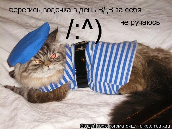 Котоматрица: берегись,водочка в день ВДВ за себя не ручаюсь /:^) /:^)