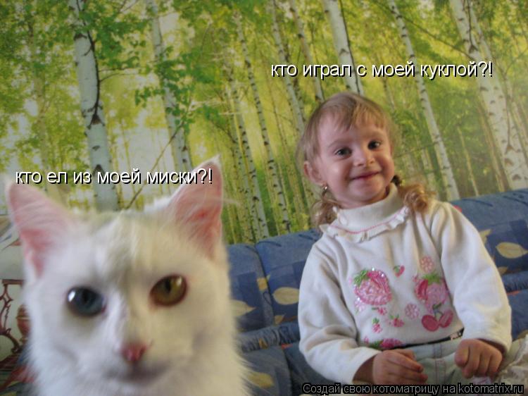 Котоматрица: кто ел из моей миски?! кто играл с моей куклой?!
