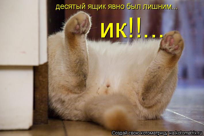 Котоматрица: десятый ящик явно был лишним... ик!!...