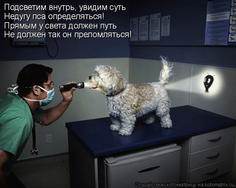 Котоматрица: Подсветим внутрь, увидим суть Недугу пса определяться! Прямым у света должен путь Не должен так он преломляться!