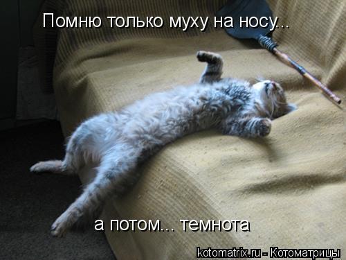 Котоматрица: Помню только муху на носу... а потом... темнота