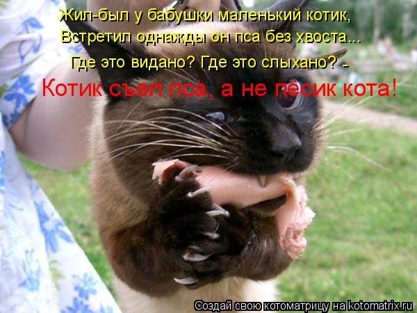 Котоматрица: Жил-был у бабушки маленький котик, Встретил однажды он пса без хвоста... Где это видано? Где это слыхано? Котик съел пса, а не пёсик кота! -