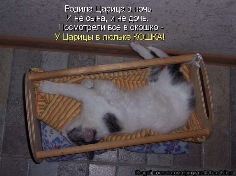 Котоматрица: Родила Царица в ночь И не сына, и не дочь. Посмотрели все в окошко - У Царицы в люльке КОШКА!