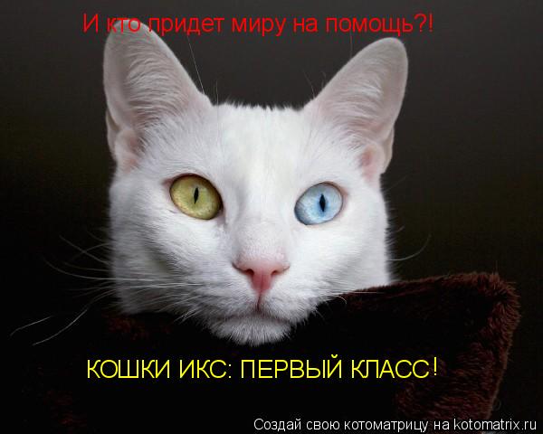 Котоматрица: КОШКИ ИКС: ПЕРВЫЙ КЛАСС И кто придет миру на помощь?! !