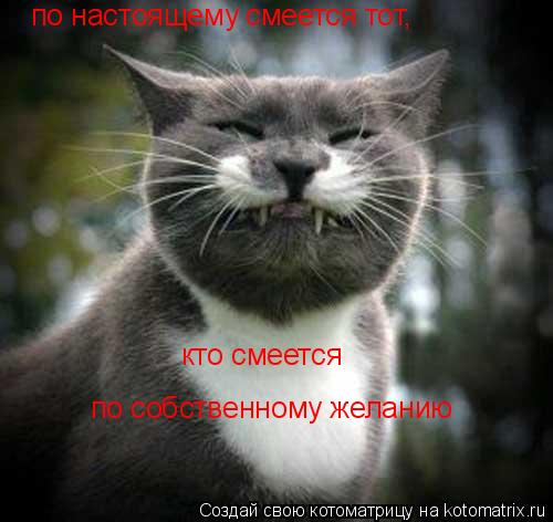 по настоящему смеется тот, кто смеется по собственному желанию... Котоматрица: по настоящему смеется тот, кто смеется по собственному желанию