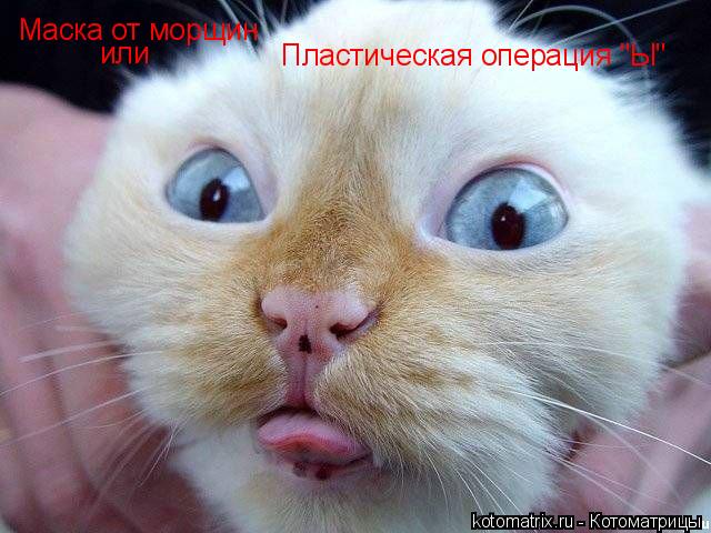 Маска от морщин или Пластическая операция "Ы"... Котоматрица: Маска от морщин или Пластическая операция "Ы"