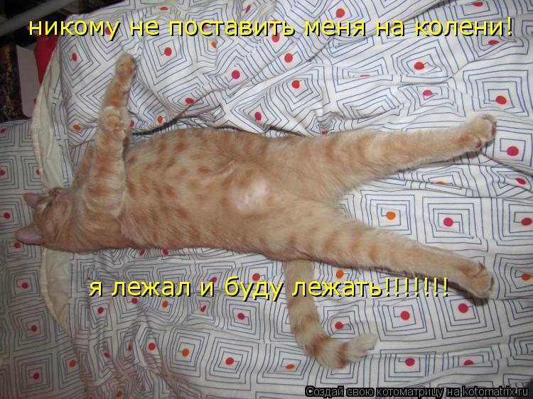 никому не поставить меня на колени! я лежал и буду лежать!!!!!!!... Котоматрица: никому не поставить меня на колени! я лежал и буду лежать!!!!!!!