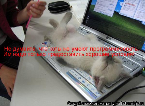 Не думайте, что коты не умеют программировать. Им надо только предоставить хорошие условия!... Котоматрица: Не думайте, что коты не умеют программировать. Им надо только предоставить хорошие условия!